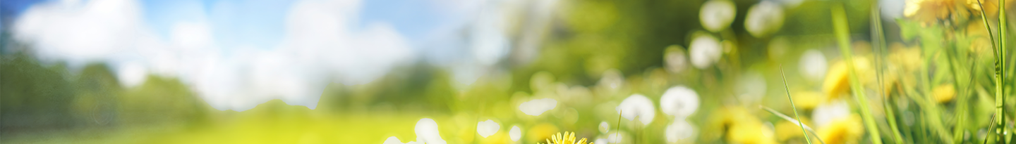 Contact Banner